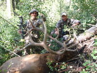 SCORE:373
SPREAD:44
ANTLERS:6x6
