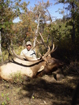 SCORE:345
SPREAD:45 1/8
ANTLERS:6x6
