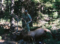 SCORE:332
SPREAD:42 1/2 inches
ANTLERS:5x5
