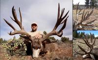 SCORE:260
  ANTLERS:9X8
  