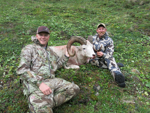 Alaska Range and Wrangell's Mountains Dall Sheep