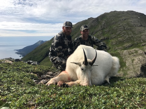 Alaska Back Pack Mountain Goat on Kodiak Island