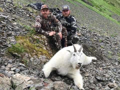 Alaska Back Pack Mountain Goat on Kodiak Island