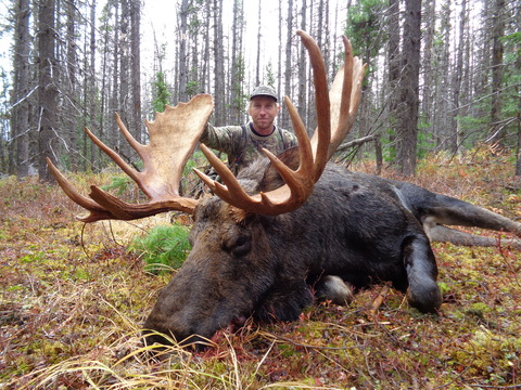 Trophy Canadian Moose Hunt in British Columbia