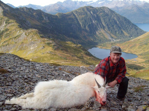 Kenai Peninsula Alaska Mountain Goat 