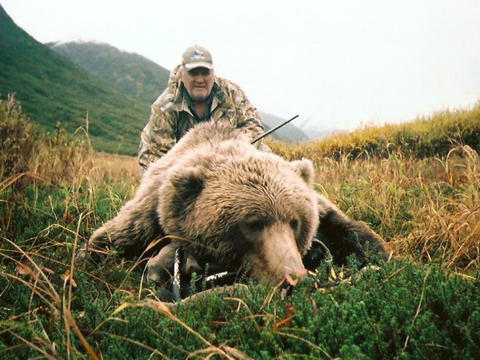 Alaska Peninsula Brown Bear