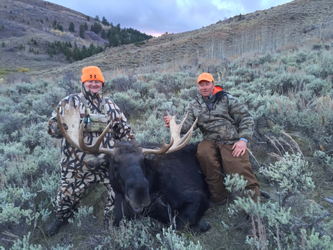 Wyoming Shiras Moose in Unit 20