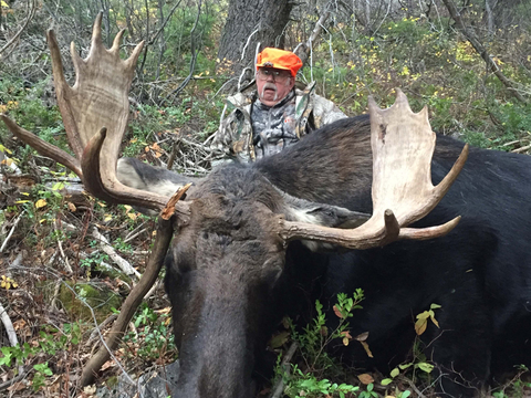 Wyoming Shiras Moose in Unit 20