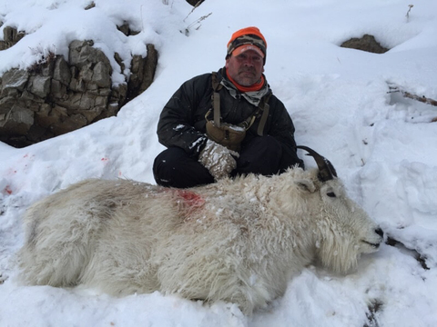 Wyoming Unit 2 Mountain Goat 