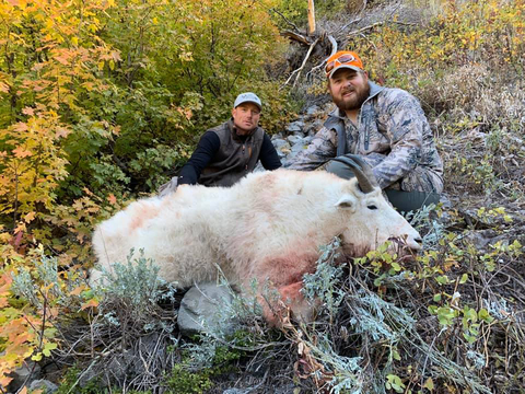 Wyoming Unit 2 Mountain Goat 