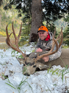 Wyoming Region H High Country Mule Deer