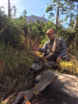 Wyoming Region H High Country Mule Deer