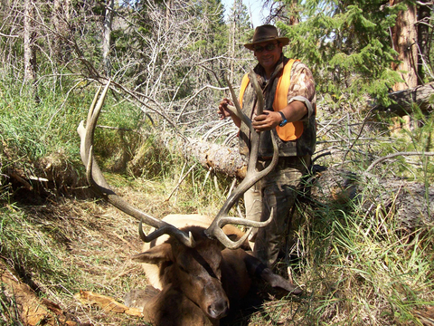 Utah Manti and Book Cliffs Trophy Elk Hunts