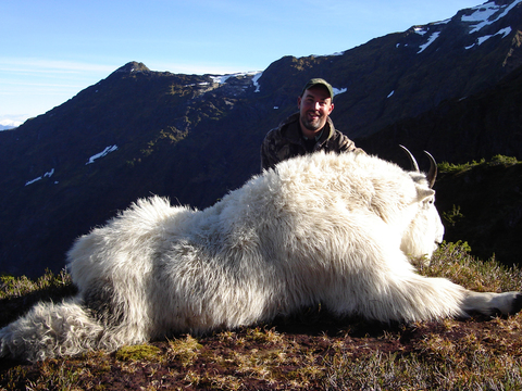 Alaska Over the Counter Mountain Goat Hunt