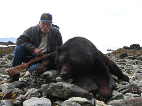 Alaska Coastal Black Bear on Prince of Wales Island