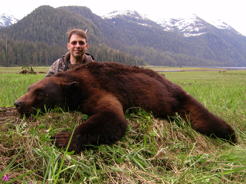 Alaska Coastal Black Bear on Prince of Wales Island