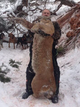 Colorado Trophy Class Cougar / Mountain Lion Hunt