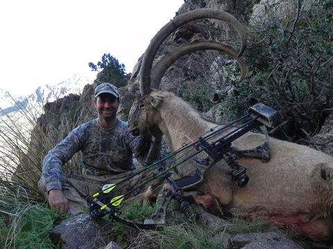 New Mexico Trophy Persian Ibex