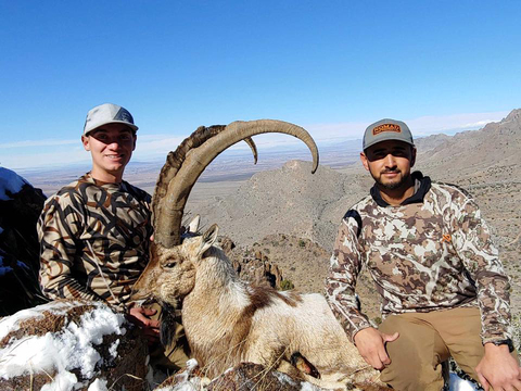 New Mexico Trophy Persian Ibex