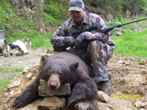 Idaho Black Bear Hunt Two Bear Opportunity