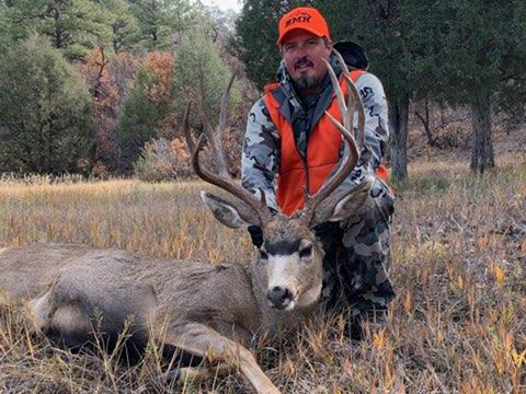 Colorado Trophy Quality Mule Deer