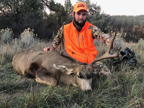 Colorado Trophy Quality Mule Deer