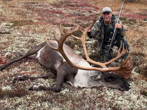 Alaska Non-Migratory Trophy Caribou Hunt