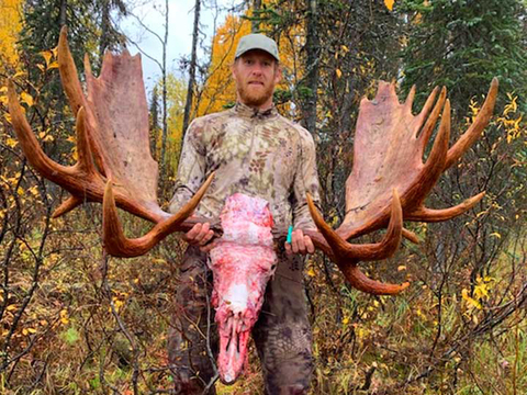 Interior or Coastal Alaska Trophy Moose Hunt