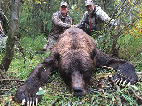 Interior Grizzly Bear Hunt by Jet Boat, Argo or Snowmobile