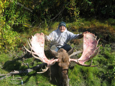 Interior or Coastal Alaska Trophy Moose Hunt