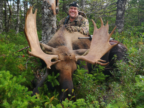 Newfoundland Eastern Canadian Moose Hunt