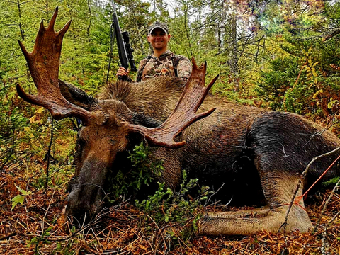 Newfoundland Eastern Canadian Moose Hunt