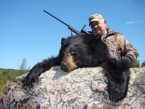 Newfoundland Giant Black Bear