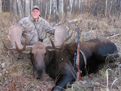 Alberta Canadian Moose