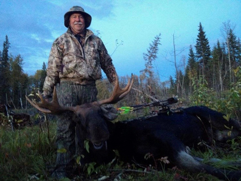 Alberta Canadian Moose