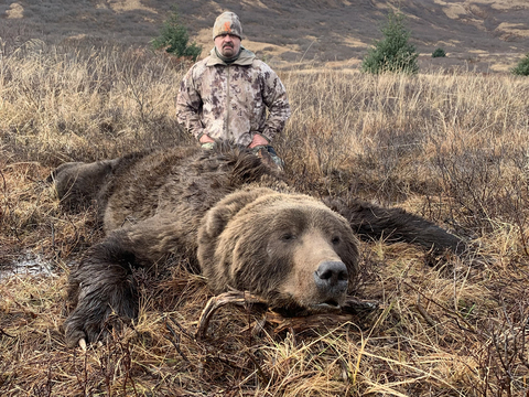 Kodiak Island Alaska Brown Bear