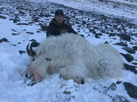 Kodiak Island Mountain Goat Hunts