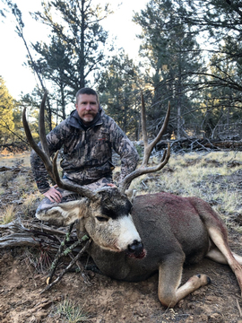 Colorado Trophy Quality Mule Deer