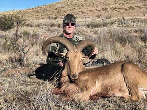 New Mexico Private Land Barbary Sheep