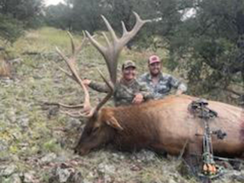 New Mexico Trophy Elk Hunts - Units 16A, 16D, 17, 34 and 36