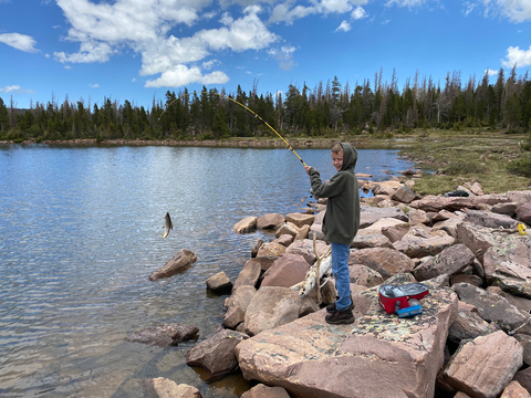 Wilderness Horseback Fishing trips for Grayling, Cutthroat, Brook and Tiger Trout