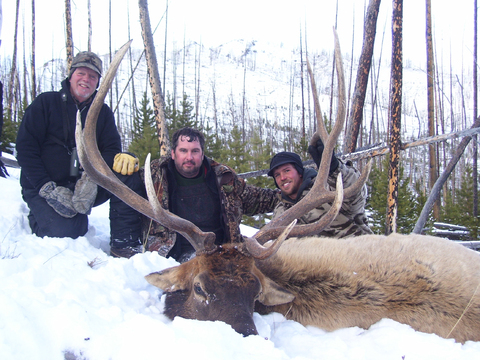 Wyoming Bull Elk Unit 51 just Outside Yellowstone