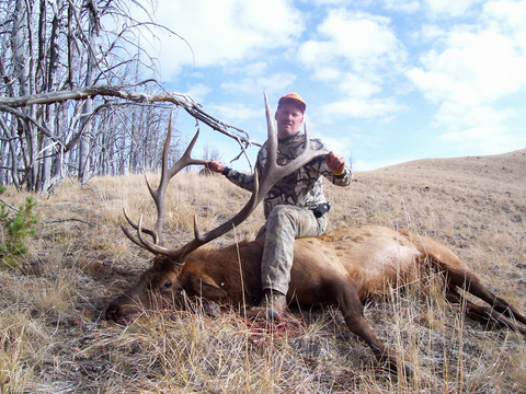 Wyoming Bull Elk Unit 51 just Outside Yellowstone