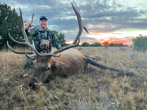 New Mexico Private Land Bull Elk Hunts Unit 12