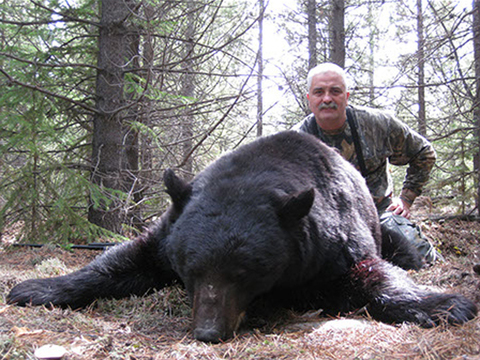 British Columbia Remote Spot and Stalk Black Bear