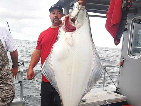 Alaska Prince William Sound Halibut