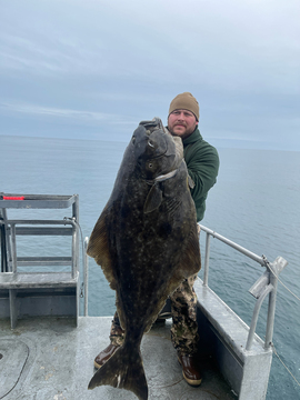 Alaska Prince William Sound Halibut