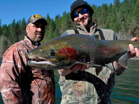 Idaho Hells Canyon Sturgeon, Stealhead, Walleye and Salmon