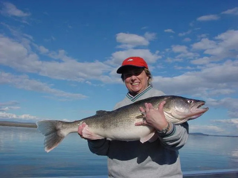 Idaho Hells Canyon Sturgeon, Stealhead, Walleye and Salmon