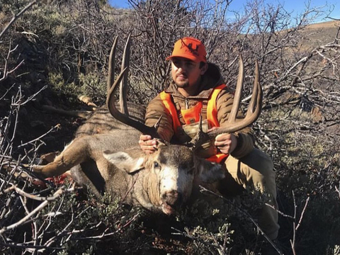 Colorado Gunnison Basin Trophy Mule Deer